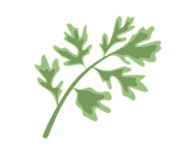Wormwood