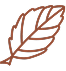 Carefully Selected Botanicals